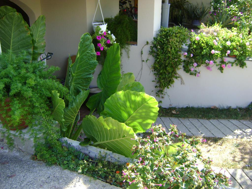 Apartments Radulovic Biograd Na Moru Exterior foto
